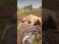 INSANE RDR2 Gameplay Lion Attack ESCAPE WILD Animal Fight CRAZY Survival #shorts #gaming