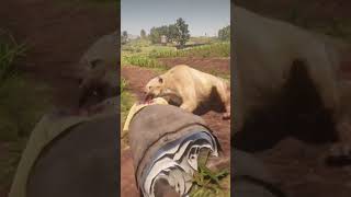 INSANE RDR2 Gameplay Lion Attack ESCAPE WILD Animal Fight CRAZY Survival #shorts #gaming