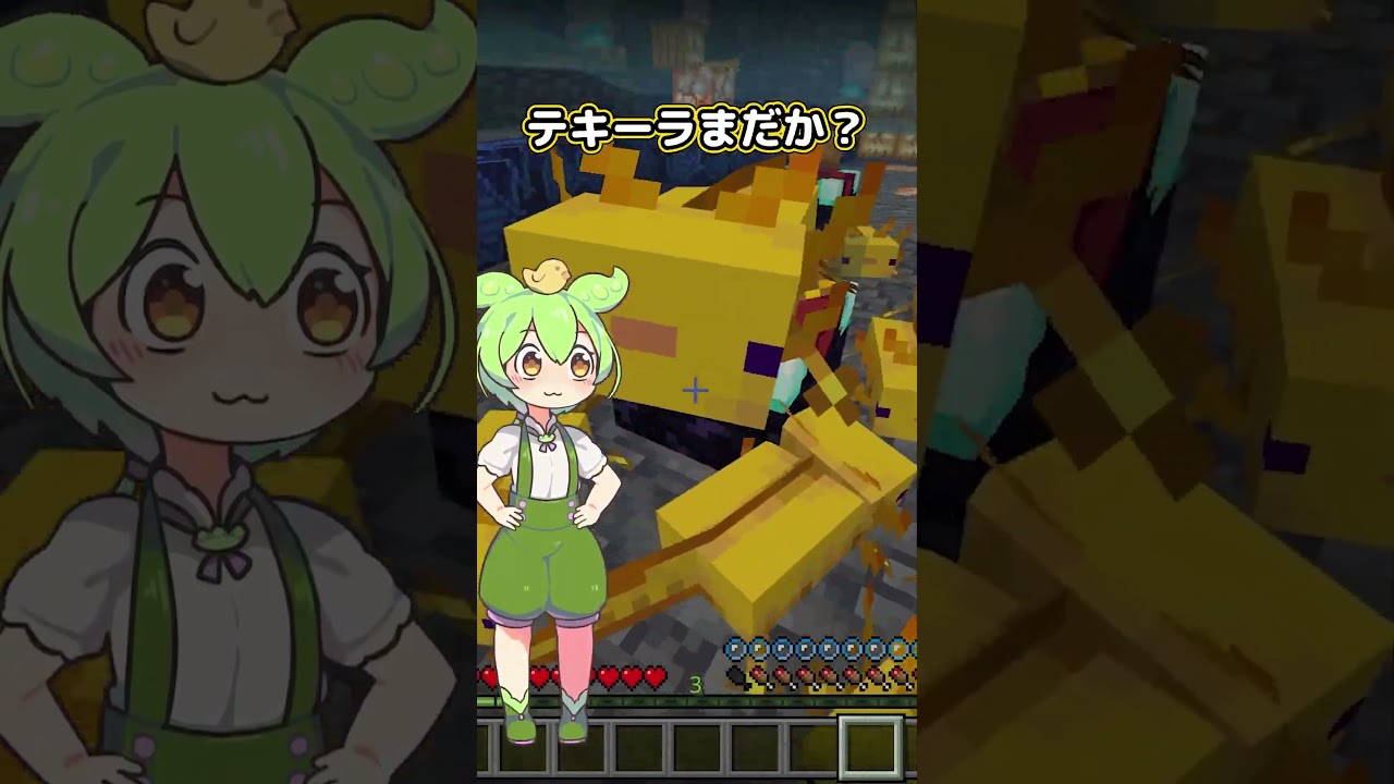 ずんだもんの買い物残念物語【マインクラフト】Minecraft