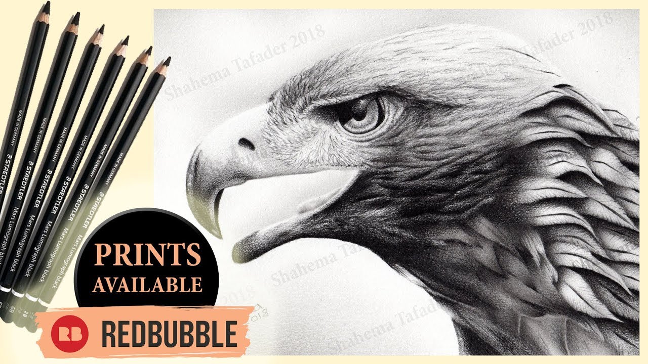 Eagle drawing by Dino Tomic | No. 585