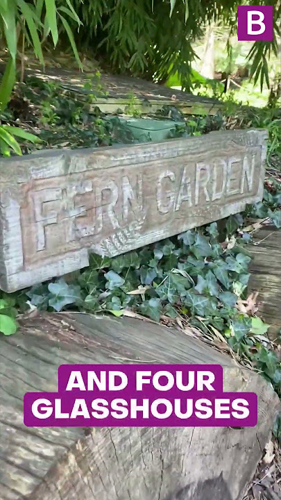 This local natural paradise is hidden away at Birmingham's Botanical Gardens 💐🌿