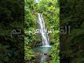 #AL-QURAN VERSES JUST IN URDU TRANSLATION 🎧❤️