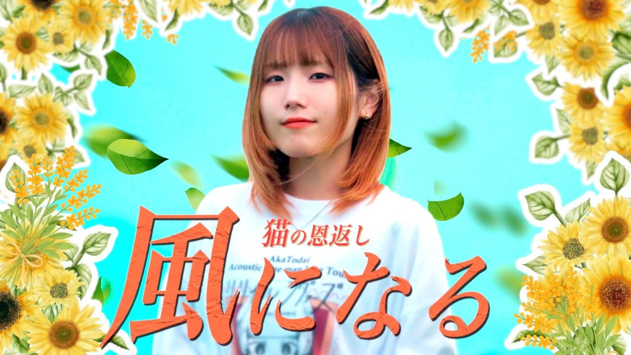 【猫の恩返し】 風になる /  つじあやの (灯橙あか cover)