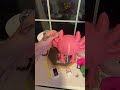 room tour! #lgbtqia #fypシ #fypシ゚viral #fypage #fyp