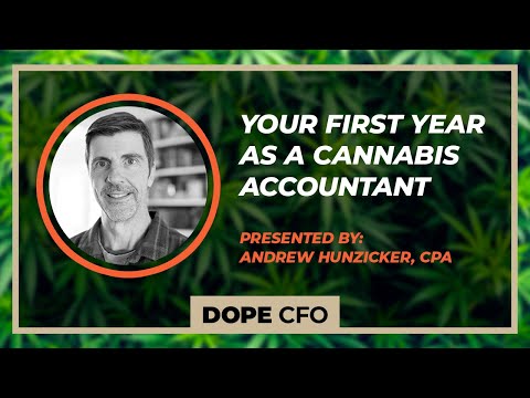 Your First Year As A Cannabis Accountant
