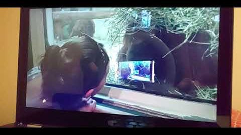 Soundjack setup with Windows and USB mic