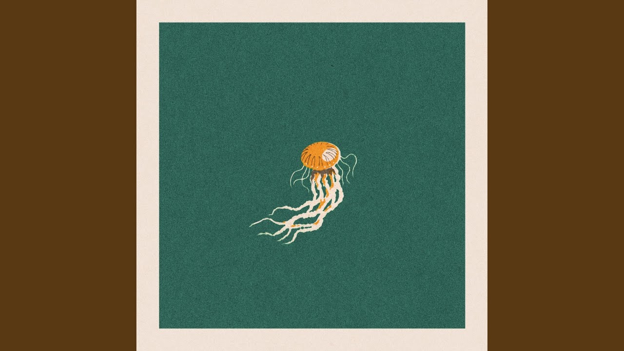 Chinless Wonder - Ynda