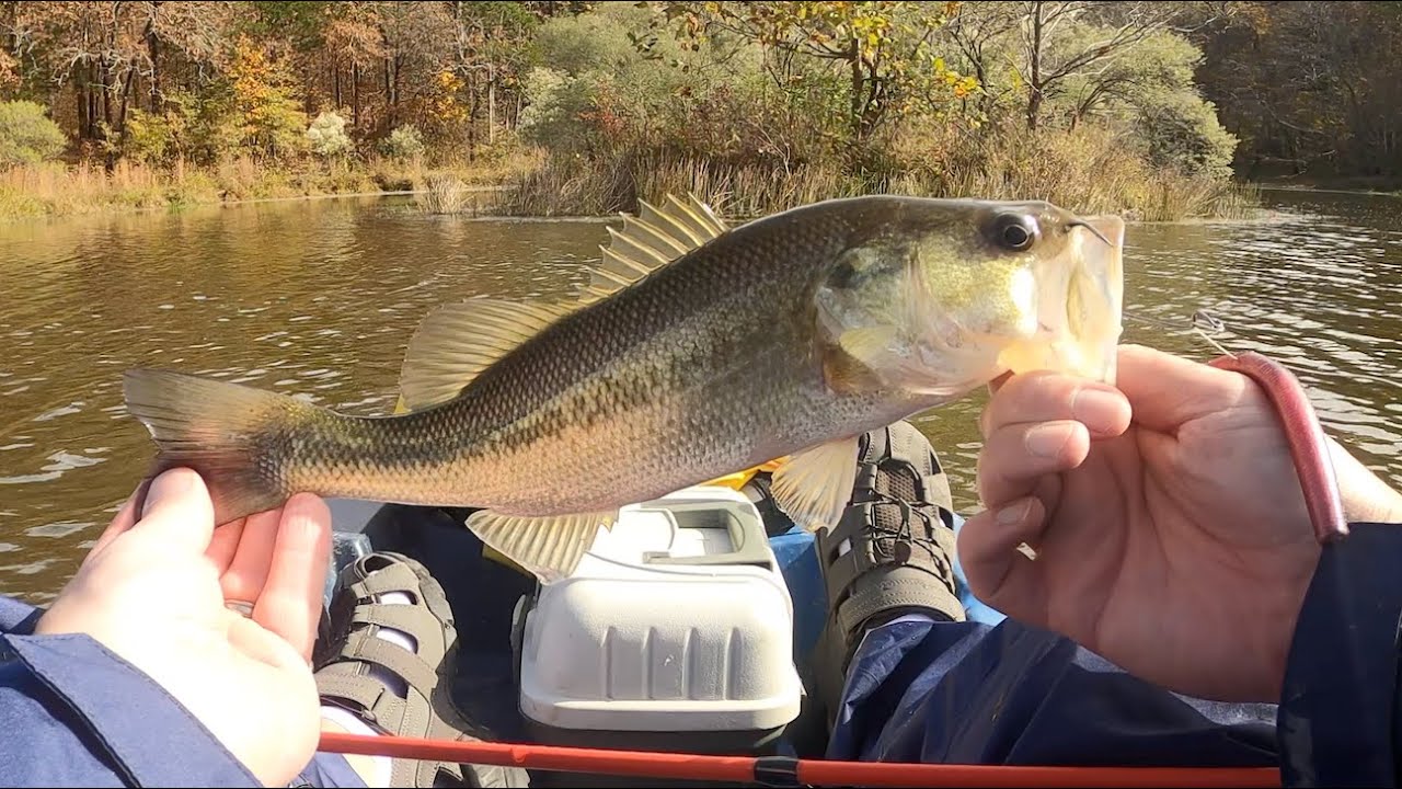 Bass Fishing in November