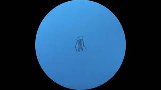 [PREMIERE] Disappear - Eversines | Nous'Klaer Audio [2021]