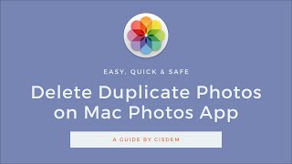 How to Delete Duplicate Photos on Mac Photos App All at Once - Very Easy & Quick screenshot 2