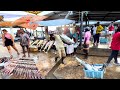 Amazing fresh fish auction in local fish market  busy day with fish cutting