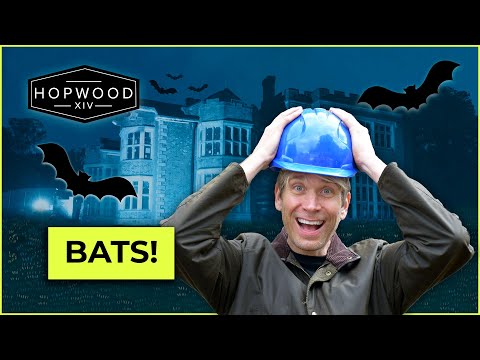 BATTLE OF THE BATS! - Castle Restoration with Hopwood DePree at Hopwood Hall Estate