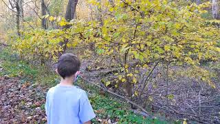 We happened upon a deer while at Susquehanna State Park. by Dot Henrich 114 views 3 years ago 1 minute, 42 seconds