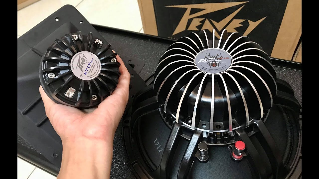 PEAVEY BWX SC12 NEODYMIUM ウーファー PEAVEY BWX SC12 NEODYMIUM ウーファー Peavey 12