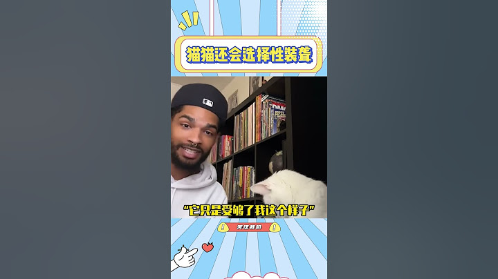 猫猫因为受够了神经的主人，于是学会了装聋#猫咪#猫猫#宠物#萌宠#可爱#搞笑