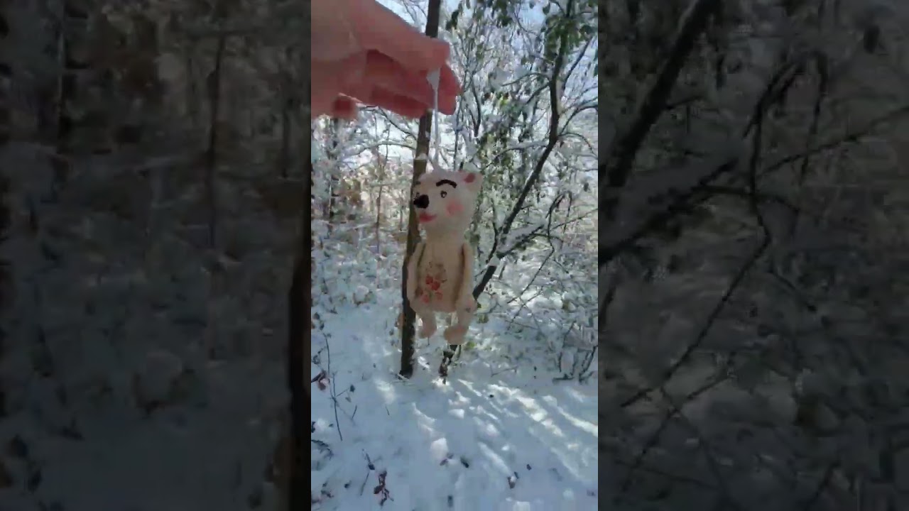 Snowy Winter forest. ❄❄❄