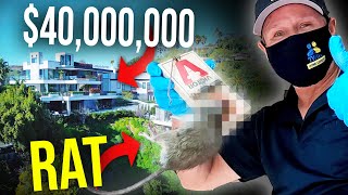 MEGA MANSION has a MEGA RAT PROBLEM...SCRATCHING IN THE CEILING!! [solved]