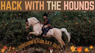 Download Lagu HACK WITH THE HOUNDS! POPCORN'S FUN DAY OUT *NOT HUNTING* MP3 Download Lagu HACK WITH THE HOUNDS! POPCORN'S FUN DAY OUT *NOT HUNTING* MP3