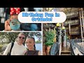 Last Day Birthday Magic in Orlando 🎂 Disney Springs, Animal Kingdom Lodge &amp; Celebration Town Vlog