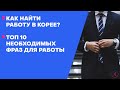 Как найти работу в Корее |  Топ 10 необходимых фраз для работы