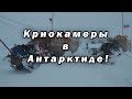 В Антарктиде нашли базы инопланетян... спящих в криокамерах! Что нашли учёные в Антарктиде?