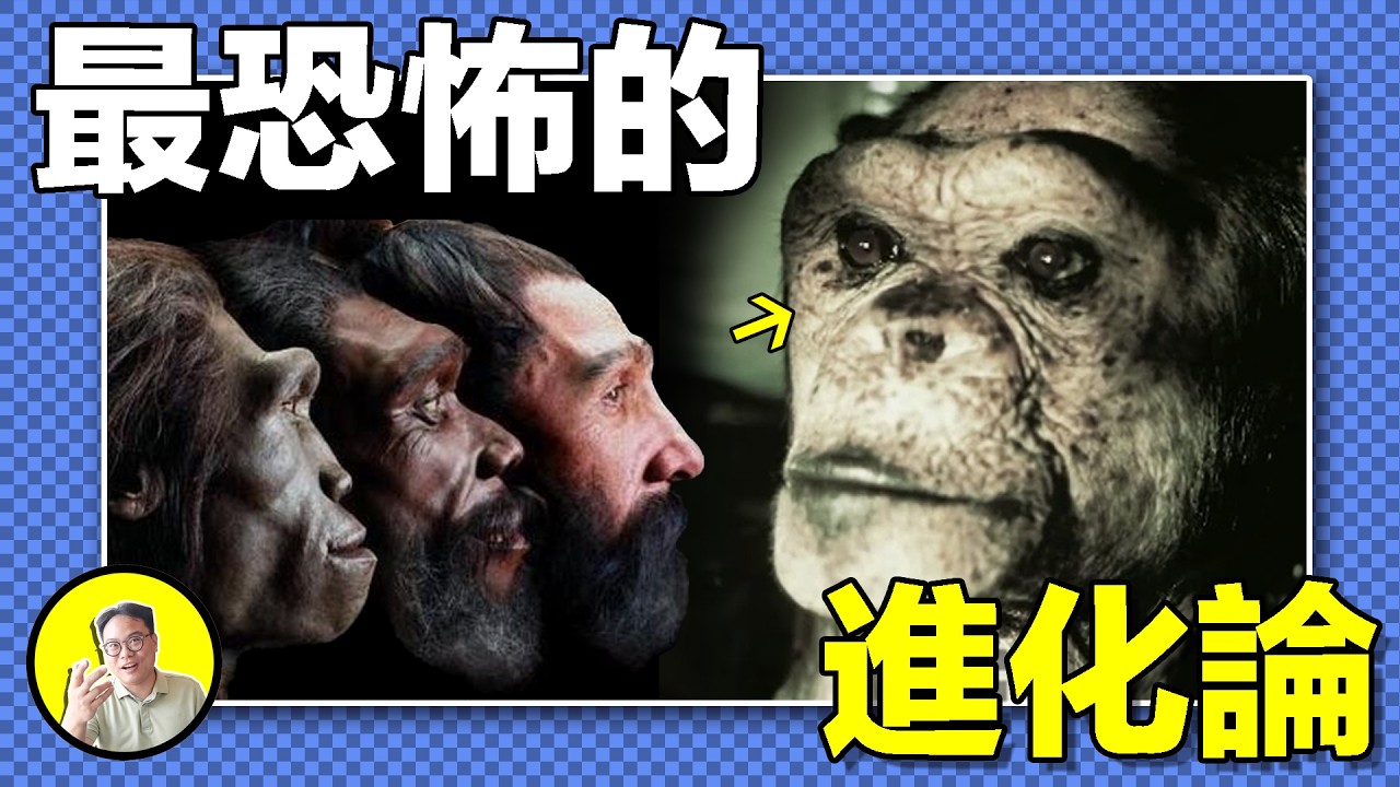 人猿雜交真實存在?奧利弗,它有47條染色體,它究竟是黑猩猩還是人類,隨着探索深入,我們發現了隱藏在人類基因中的進化秘密……|總裁聊聊 ...