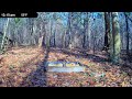 Wildlife Live Cam - Critter Cam
