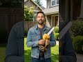 Mighty Cutting, Less Effort#chainsaw #powertools #yardwork #minichainsaw #ToolReview#buyjoystore