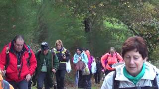Ruta Pomar de las Montañas Parque Natural Fuentes del Narcea,Degaña e Ibias