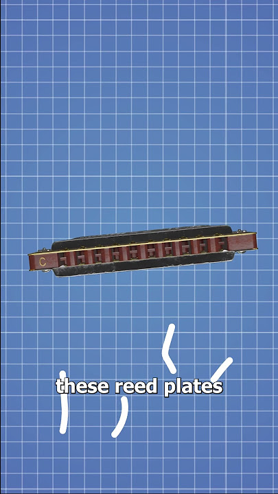 How A Harmonica Works 🤔
