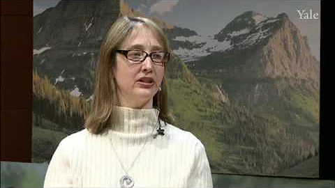 Prof. Susan Stokes: Globalization and the Left in ...