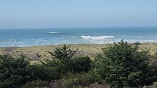 Hello From Gold Beach Oregon 🤗💜 by Purple Cottage Crafts 248 views 6 months ago 4 minutes, 37 seconds