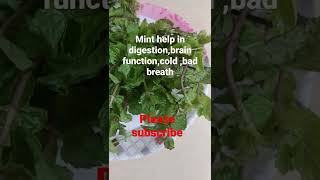 health benefits of mint leaves|nutritional value of mint leaves from beauty buddies#shorts