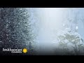 Diamond Dust and Extreme Cold
