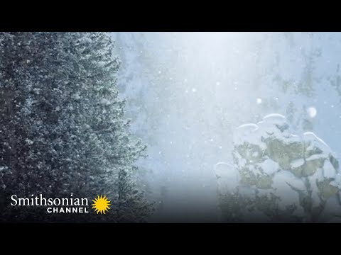 Freezing Cold Air Creates ‘Diamond Dust’ ❄️ Epic Yellowstone | Smithsonian Channel