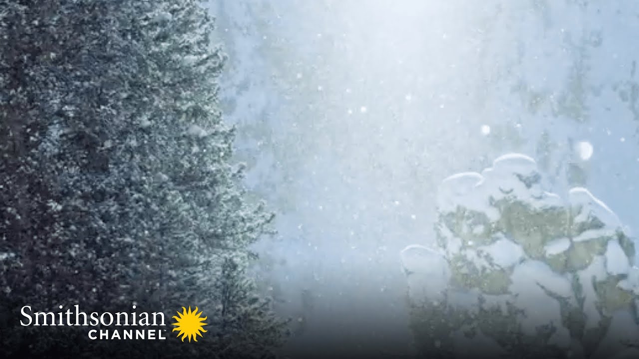 Freezing Cold Air Creates ‘Diamond Dust’ ❄️ Epic Yellowstone | Smithsonian Channel