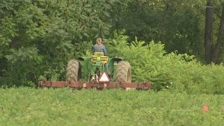Your Food: Chemicals in crop growing