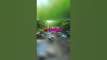 🤔 Simp Explained! Boundaries, Respect & Relationships w/ Sadia Khan 💡🔥