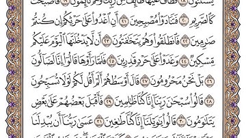 سورة القلم مكتوبة / سعود الشريم