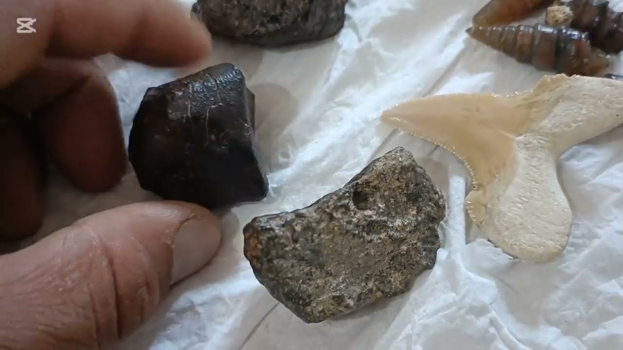 نيازك : الفرق بين نيزك قمري و نيزك كربوني