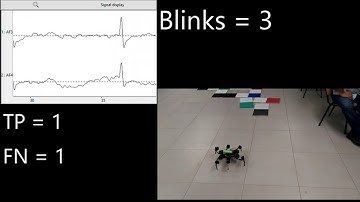 Phoenix hexapod robot  controlled with a BCI