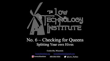 Low Tech Video -- No. 6 -- Looking for Queens