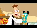 Dr. Doof's Best Moments | Compilation | Phineas and Ferb | Disney XD