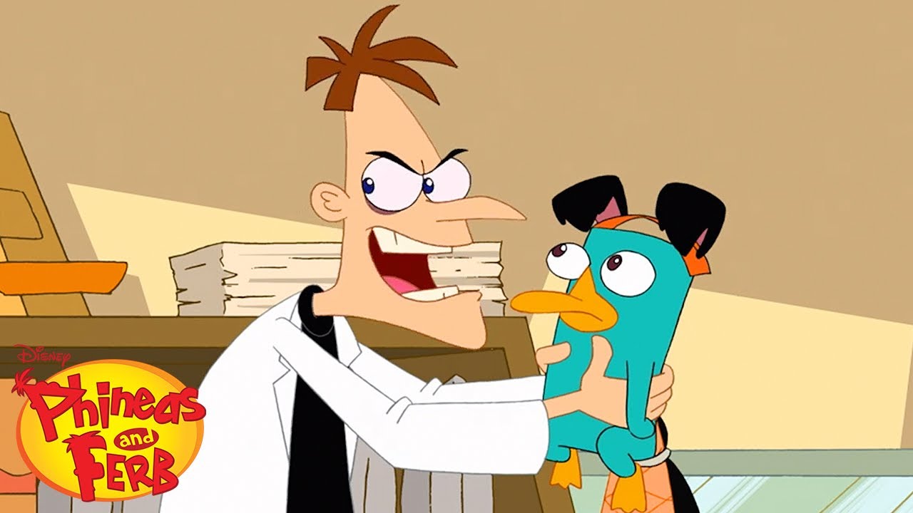 Ah perry the platypus