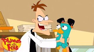 Dr Doofs Best Moments Compilation Phineas And Ferb Disney Xd