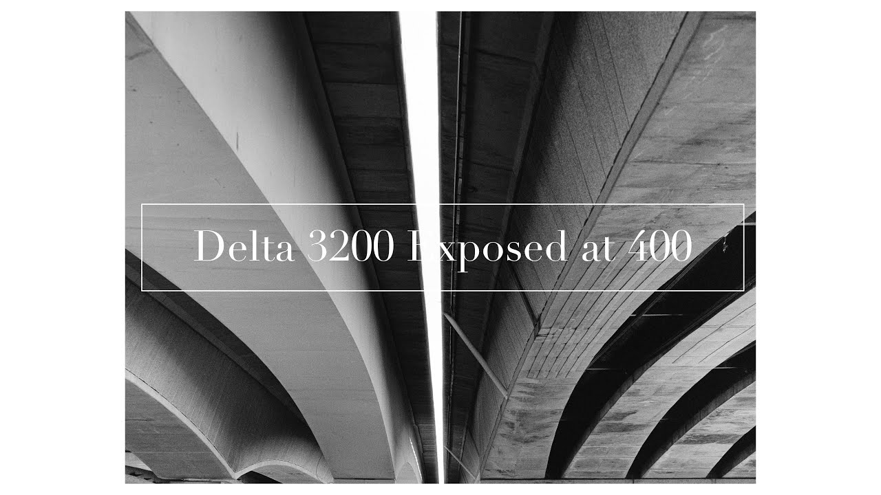 Илфорд Дельта 3200 на 400