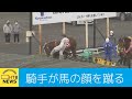 北海道　ばんえい競馬　騎手が馬の顔を蹴る　戒告処分