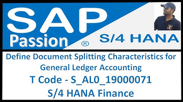 Define Document Splitting Characteristics for General Ledger Accounting | T Code - S_AL0_19000071
