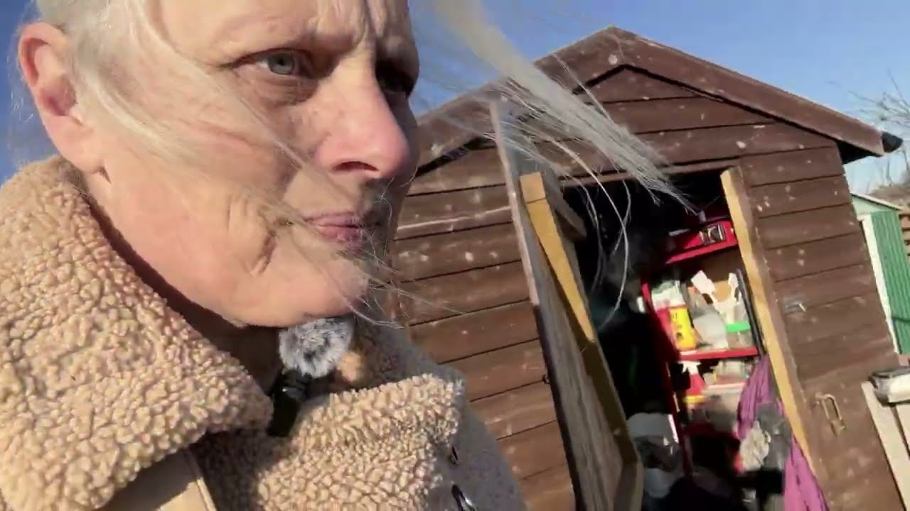 Cherry Tree | Mulching beds | 5 hours at the plots | Parsnip Harvest | Raised beds | January Jobs