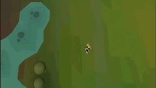 Runescape WereWolf Agility Course